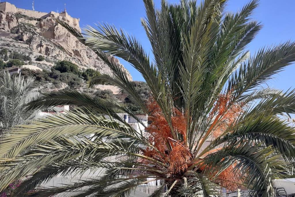 La Casita Azul Apartment Alicante Ngoại thất bức ảnh