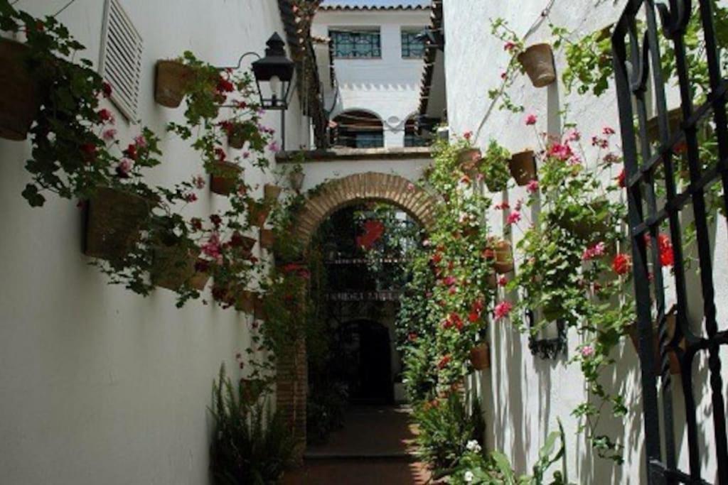 La Casita Azul Apartment Alicante Ngoại thất bức ảnh